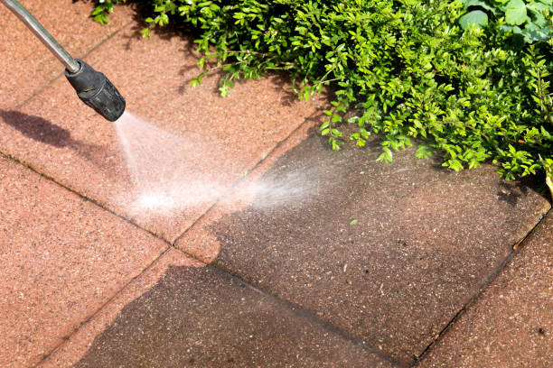 Best Affordable Power Washing  in Orange Blossom, CA